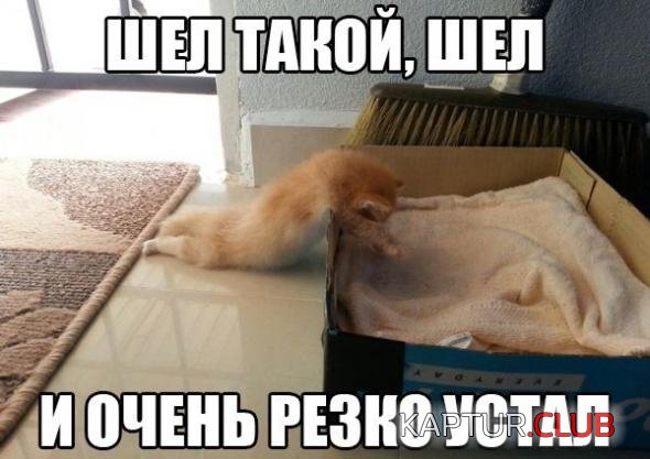 5e6a1c4c1909a310d428abb664e_prev.jpg | Рено Каптур Клуб Россия | Форум KAPTUR.SU