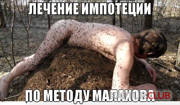 5e7kskm3m7i.jpg | Рено Каптур Клуб Россия | Форум KAPTUR.SU