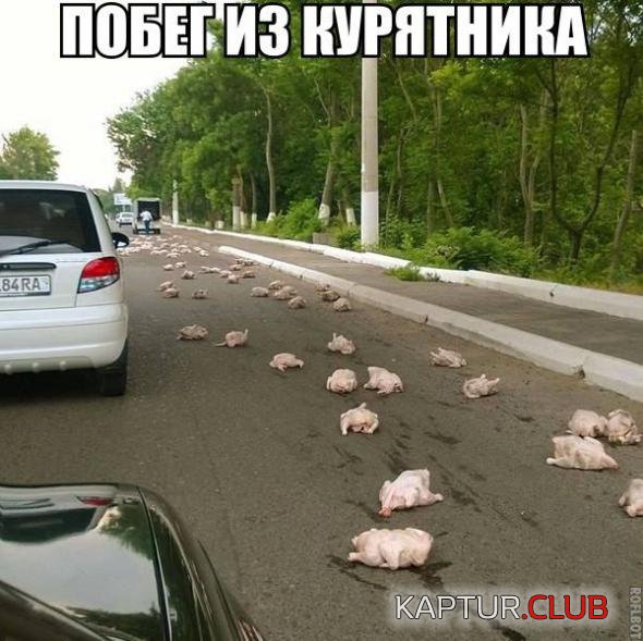 5e87748b7628ac225fc94beb221_prev.jpg | Рено Каптур Клуб Россия | Форум KAPTUR.SU