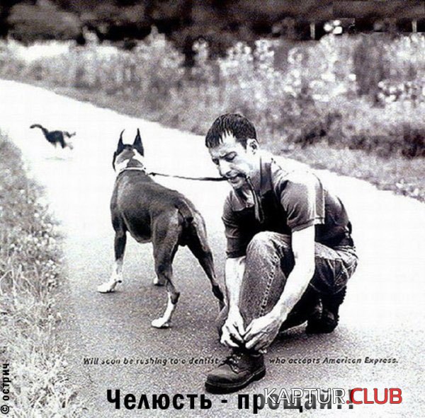 5ece6dc22fc2.jpg | Рено Каптур Клуб Россия | Форум KAPTUR.SU
