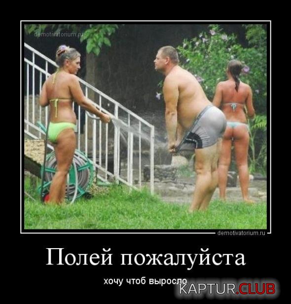 5f320b42f53339c32d66dce9374_prev.jpg | Рено Каптур Клуб Россия | Форум KAPTUR.SU