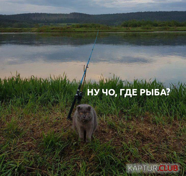 5f4a98b081497590a0273a55d06.jpg | Рено Каптур Клуб Россия | Форум KAPTUR.SU