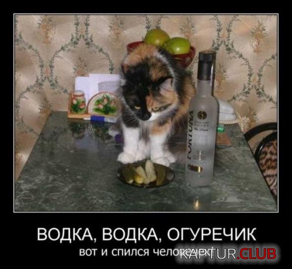 5f9f8982cc5abc8e5bf637530a4_prev.jpg | Рено Каптур Клуб Россия | Форум KAPTUR.SU