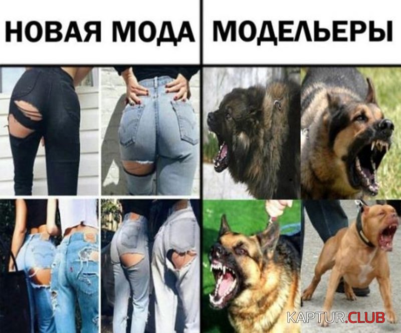 5f9fd39d9388c5a8f79c25c7a97.jpg | Рено Каптур Клуб Россия | Форум KAPTUR.SU