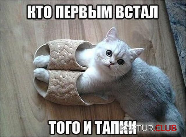 6-9-640x473.jpg | Рено Каптур Клуб Россия | Форум KAPTUR.SU