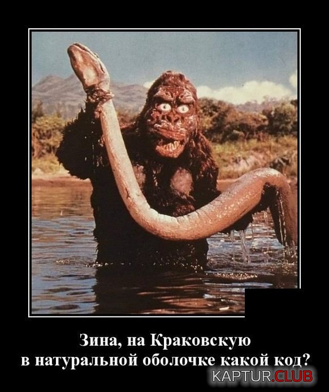 6.jpg | Рено Каптур Клуб Россия | Форум KAPTUR.SU