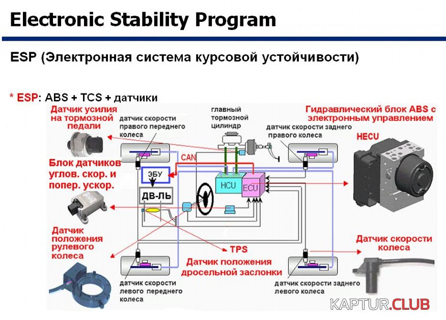 6.jpg | Рено Каптур Клуб Россия | Форум KAPTUR.SU