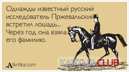 6.png | Рено Каптур Клуб Россия | Форум KAPTUR.SU