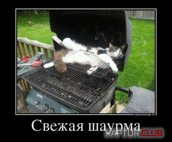 6.png | Рено Каптур Клуб Россия | Форум KAPTUR.SU