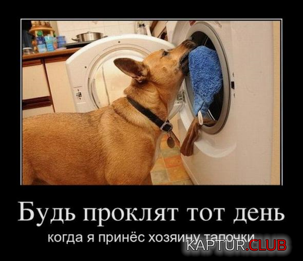 6.png | Рено Каптур Клуб Россия | Форум KAPTUR.SU