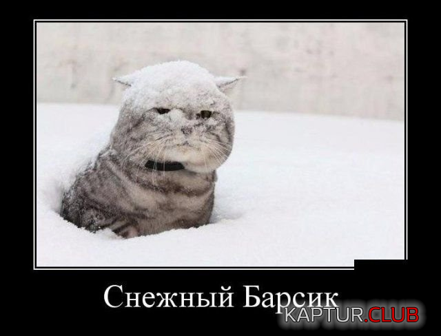 6.png | Рено Каптур Клуб Россия | Форум KAPTUR.SU