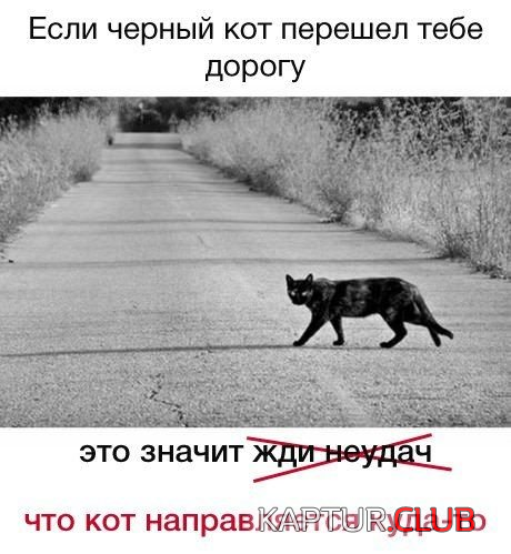 6.png | Рено Каптур Клуб Россия | Форум KAPTUR.SU