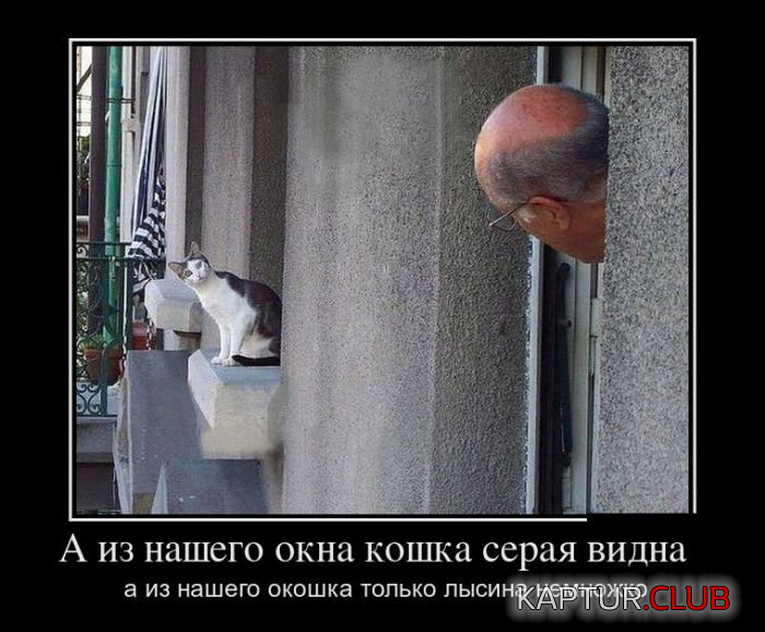 6.png | Рено Каптур Клуб Россия | Форум KAPTUR.SU