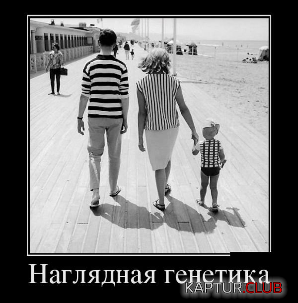 6.png | Рено Каптур Клуб Россия | Форум KAPTUR.SU
