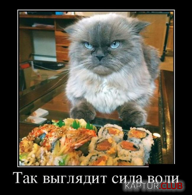6.png | Рено Каптур Клуб Россия | Форум KAPTUR.SU