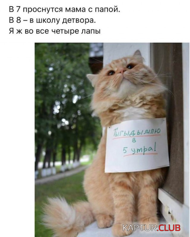 6.png | Рено Каптур Клуб Россия | Форум KAPTUR.SU