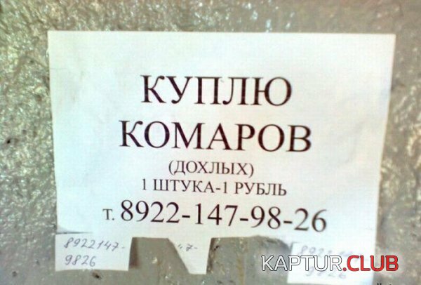 60ef3d271c1871144ce121a2807.jpg | Рено Каптур Клуб Россия | Форум KAPTUR.SU