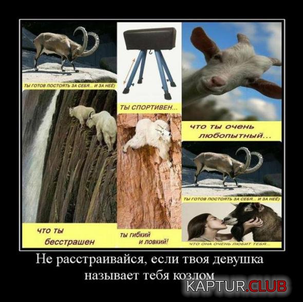 61181f017e55945cfb80020c735_prev.jpg | Рено Каптур Клуб Россия | Форум KAPTUR.SU