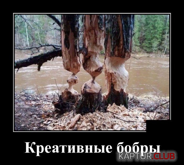 617.jpg | Рено Каптур Клуб Россия | Форум KAPTUR.SU