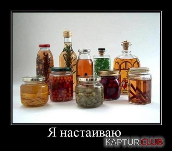 617b2cd5cee446362677eb79dd9_prev.jpg | Рено Каптур Клуб Россия | Форум KAPTUR.SU