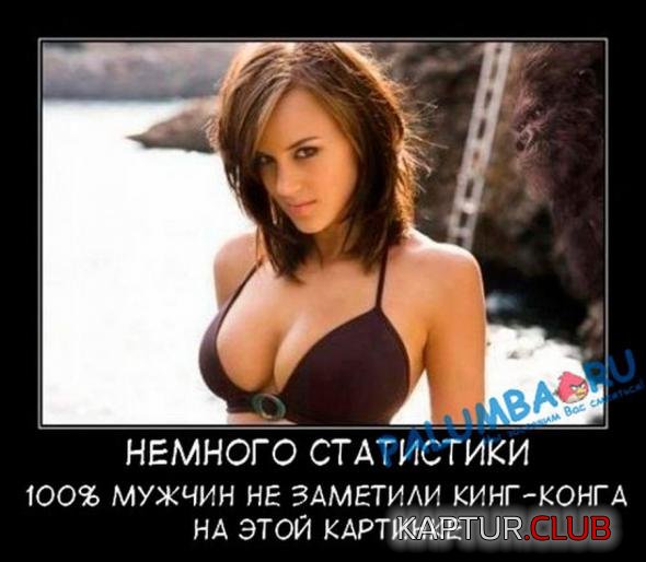 620b3fcb89f014342186aca2ce6_prev.jpg | Рено Каптур Клуб Россия | Форум KAPTUR.SU