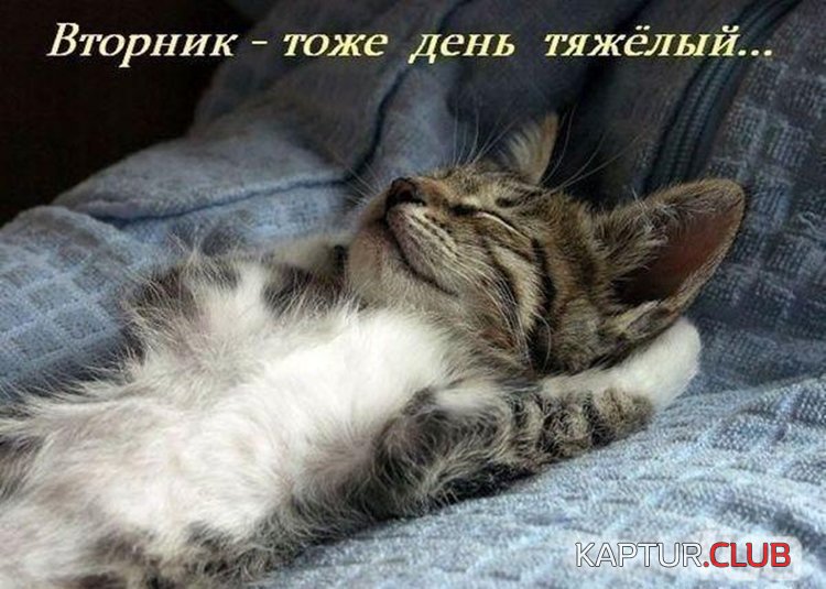 6227cb13b2ffcf328664f491737.jpg | Рено Каптур Клуб Россия | Форум KAPTUR.SU