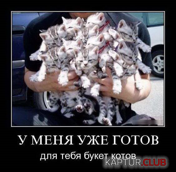 6266e6c2cff402ee357322590f4.jpg | Рено Каптур Клуб Россия | Форум KAPTUR.SU