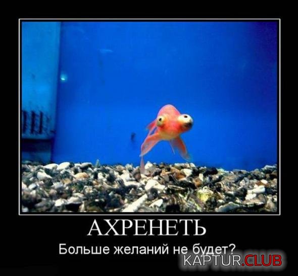 62d45fb710423ea2a7f916de221_prev.jpg | Рено Каптур Клуб Россия | Форум KAPTUR.SU
