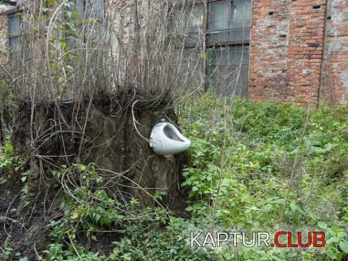 630a61b5d021afe7645882a815319bbd_full.jpg | Рено Каптур Клуб Россия | Форум KAPTUR.SU