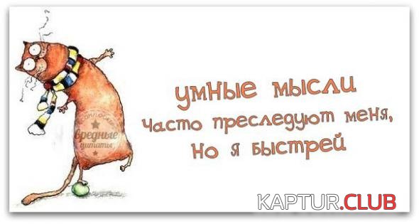 634597878627d9ec9a64ae5dc10_prev.jpg | Рено Каптур Клуб Россия | Форум KAPTUR.SU