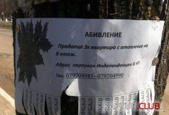 634a503c6ac25f0f2d9de103c1c_prev.jpg | Рено Каптур Клуб Россия | Форум KAPTUR.SU