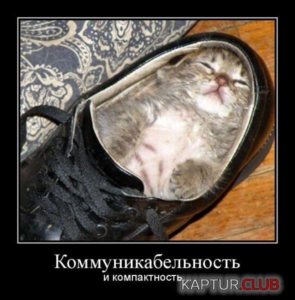 636af4003b836cc8a32aa45996e_prev.jpg | Рено Каптур Клуб Россия | Форум KAPTUR.SU
