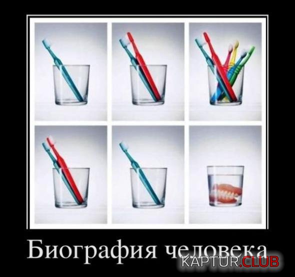 63a6a3b090bbe422ac34a408ed0_prev.jpg | Рено Каптур Клуб Россия | Форум KAPTUR.SU