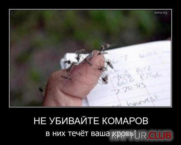 63ac4d67f1ddb59d9347e039c96_prev.jpg | Рено Каптур Клуб Россия | Форум KAPTUR.SU