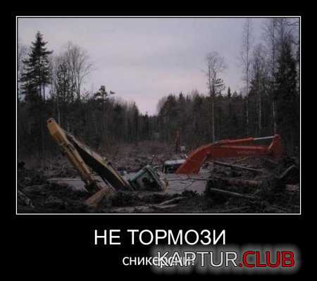 63e3d31d2fda24d86cbeb39a0d4.jpg | Рено Каптур Клуб Россия | Форум KAPTUR.SU