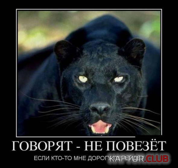 6482a405d30247e637b740788ad_prev.jpg | Рено Каптур Клуб Россия | Форум KAPTUR.SU