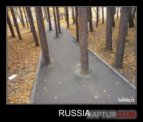 64e5aca5bf513d05efbadba63cc_prev.jpg | Рено Каптур Клуб Россия | Форум KAPTUR.SU