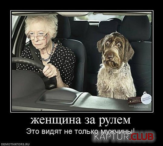 6546464.jpg | Рено Каптур Клуб Россия | Форум KAPTUR.SU