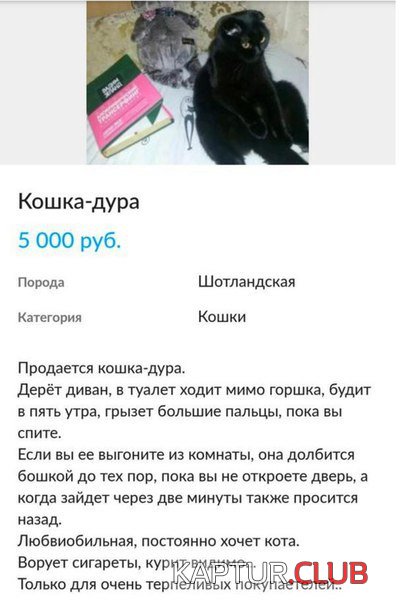 659e777274ba7a04d3289b98d28.jpg | Рено Каптур Клуб Россия | Форум KAPTUR.SU