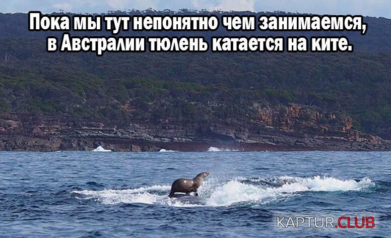 65e9da542454207c3886a0f259c.jpg | Рено Каптур Клуб Россия | Форум KAPTUR.SU
