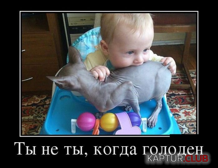 65f2e1f2606893865c2a6174eaa.jpg | Рено Каптур Клуб Россия | Форум KAPTUR.SU