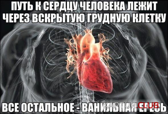 664fb69ba92cd988dfb7dc33488_prev.jpg | Рено Каптур Клуб Россия | Форум KAPTUR.SU