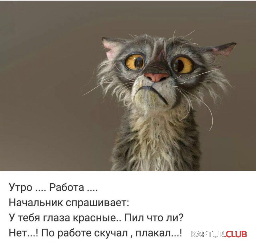 666.jpg | Рено Каптур Клуб Россия | Форум KAPTUR.SU