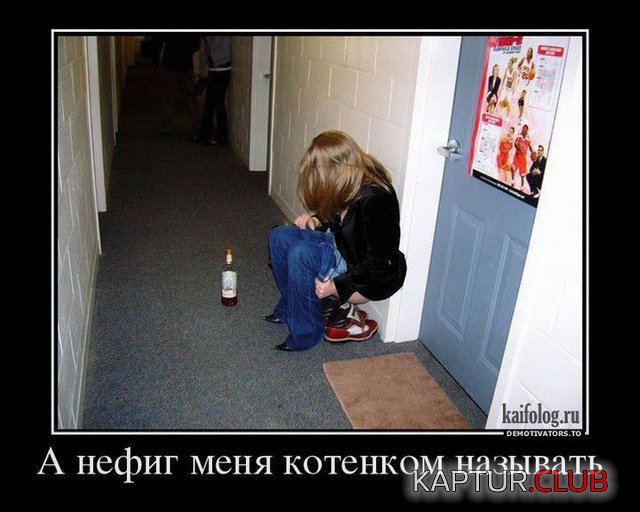 666.jpg | Рено Каптур Клуб Россия | Форум KAPTUR.SU