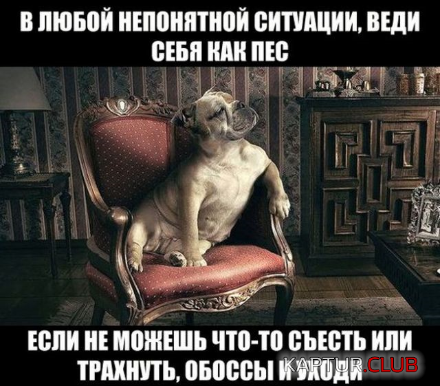 666.png | Рено Каптур Клуб Россия | Форум KAPTUR.SU