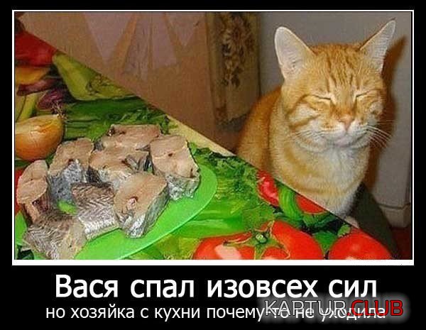 66736e3ecb4d2c6b5bd11e7653c.jpg | Рено Каптур Клуб Россия | Форум KAPTUR.SU