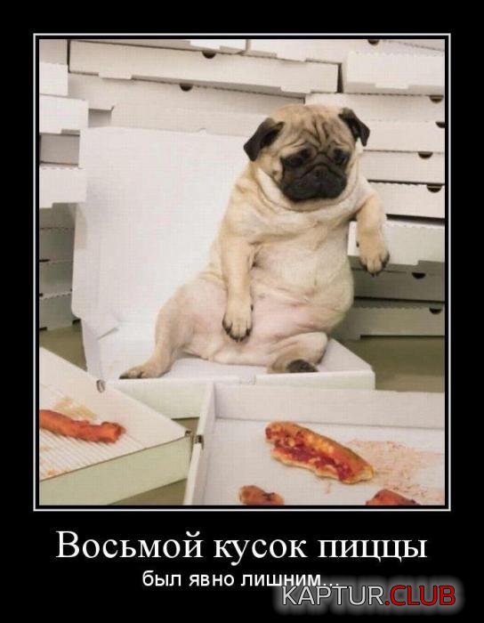 668ca2ee871e0bdf35029935740_prev.jpg | Рено Каптур Клуб Россия | Форум KAPTUR.SU