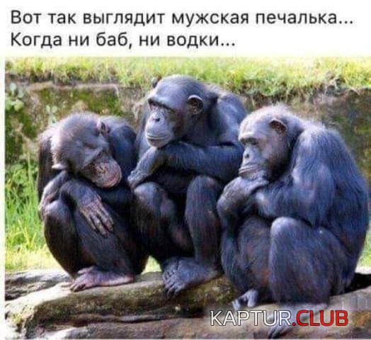 66a8b9b935e323dafc6e5e3ec69.jpg | Рено Каптур Клуб Россия | Форум KAPTUR.SU