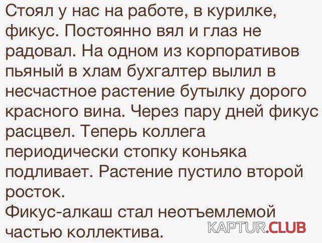 66cd30d6a6333187ed82240aa2d.jpg | Рено Каптур Клуб Россия | Форум KAPTUR.SU