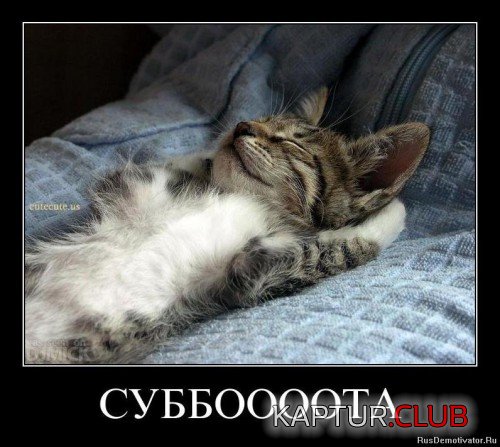 67393733.f.500.500.0.jpg | Рено Каптур Клуб Россия | Форум KAPTUR.SU